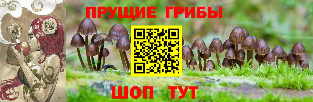 Псилоцибиновые грибы мицелий  Галлюциногенные грибы ЛСД  Вход с VPN  где продают наркотики  Михайловка 